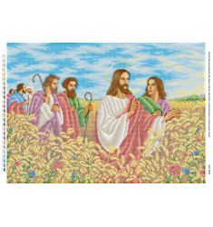 Ісус Христос з апостолами на пшеничному полі ([БСР 2058])